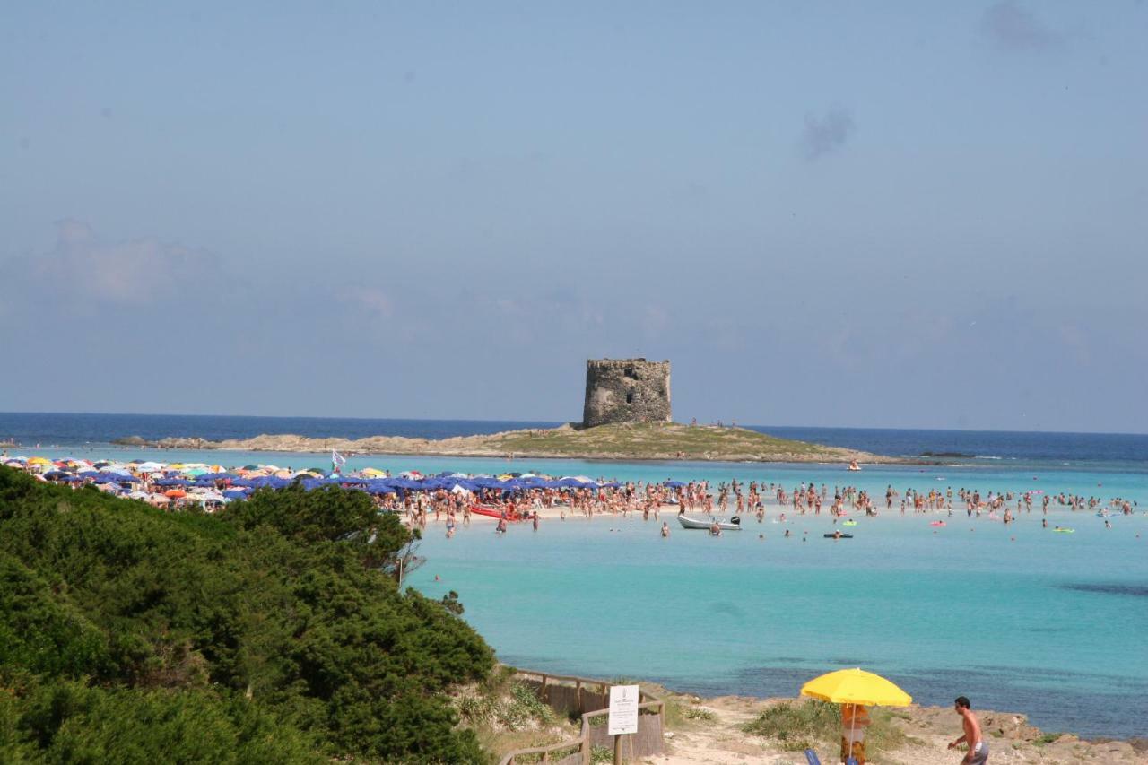Country Paradise - & Resort Stintino